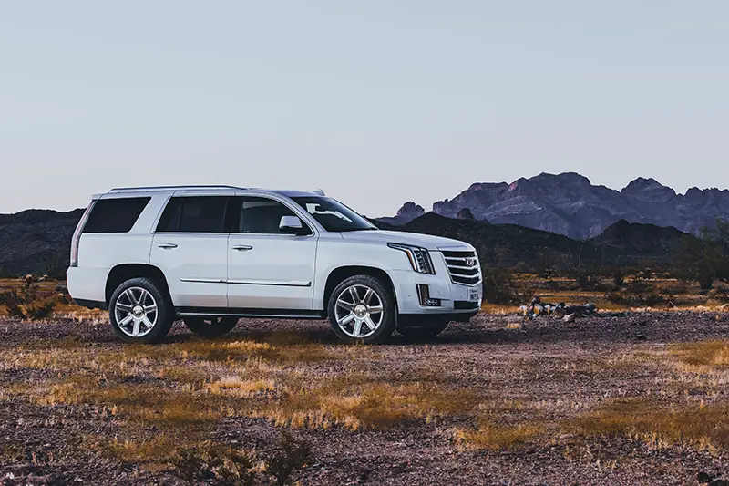 white suv on brown field during daytime