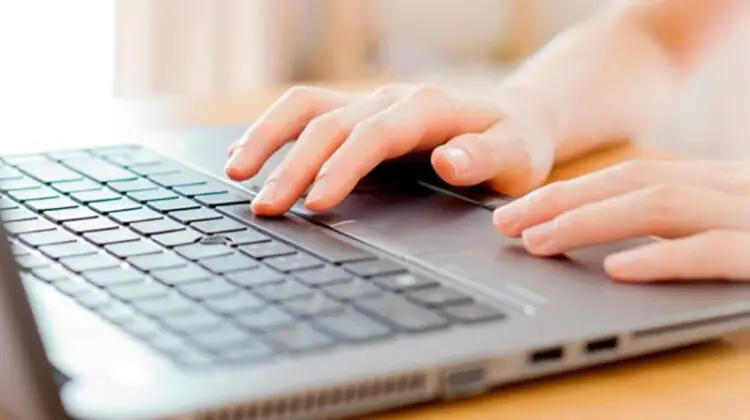 Cropped hand of person using laptop