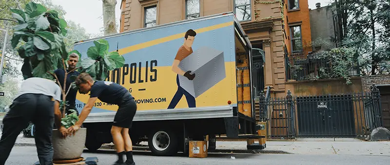 three men moving big plants beside truck