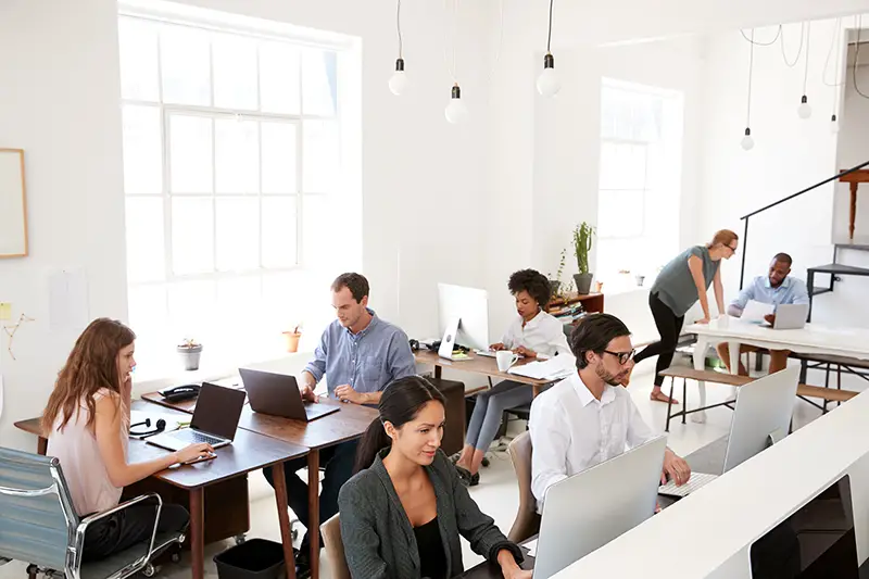 Young business colleagues working at computers in an office