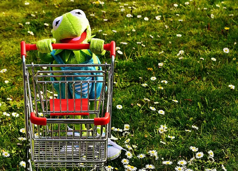 Kermit frog holding shopping cart