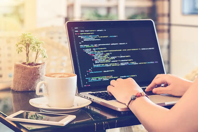 A female programmer typing source codes in a coffee shop