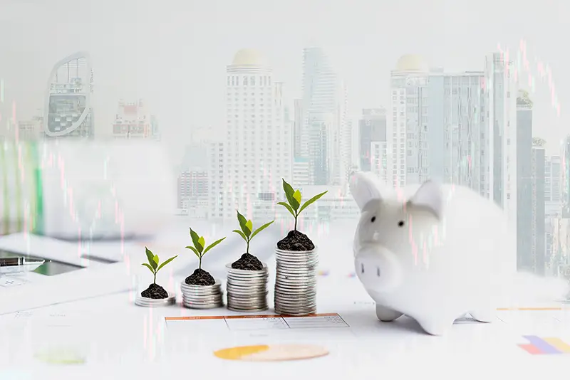 Piggy and the tree growing on money coin stack for investment