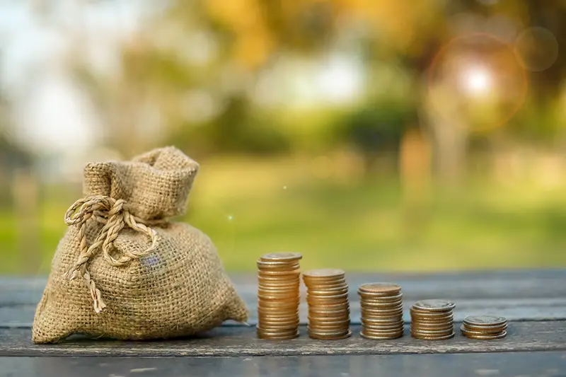 Money sack and coin stack on wooden table.