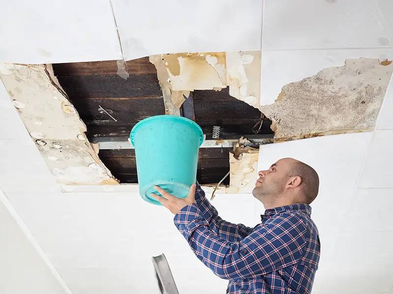 Man Collecting Water In Bucket From Ceiling