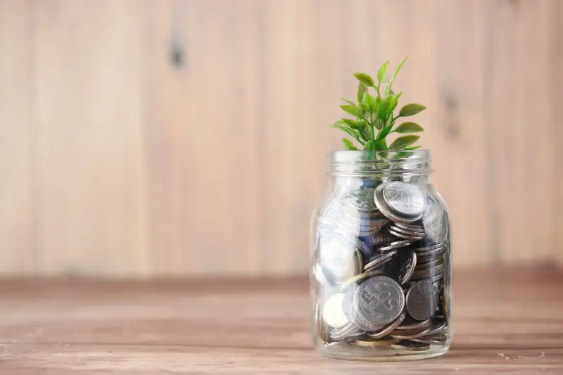 Close up of young plan growing through coins