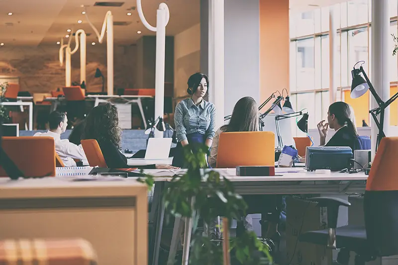 People working inside the modern office