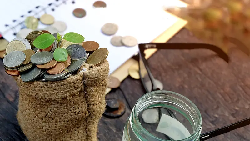 Plants growing on coins in sack