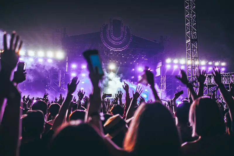 Group of people watching the concert