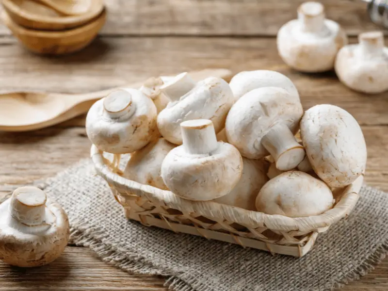 Bunch of mushroom in a small basket