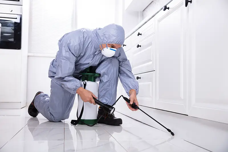 Male Exterminator Wearing Safety Cloths Spraying Pesticide In Kitchen