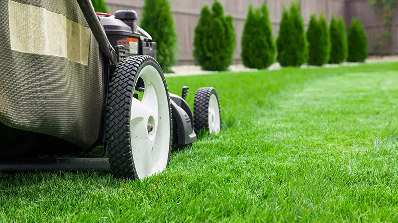 Lawn mower in the grass field