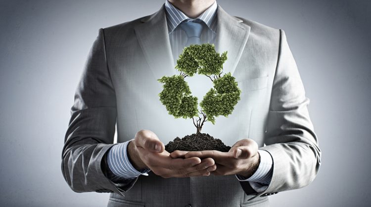 Tree in palms as a symbol of recycling and nature protection