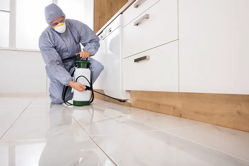 Exterminator Spraying Pesticide