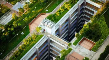 Greener Cities