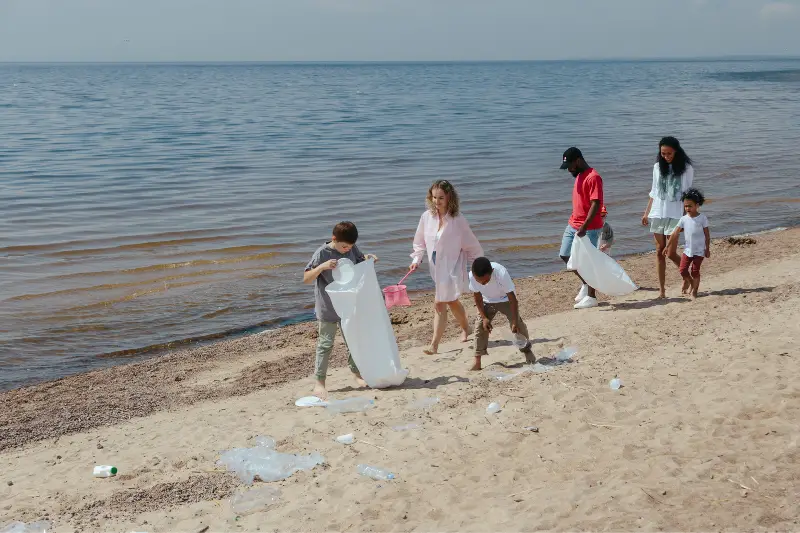 People at the Beach Picking Up the Trash
