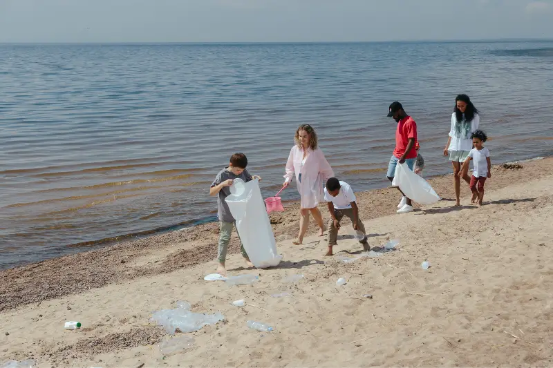 People at the Beach Picking Up the Trash