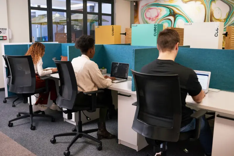 Three young people share coworking space, work side by side with desk dividers