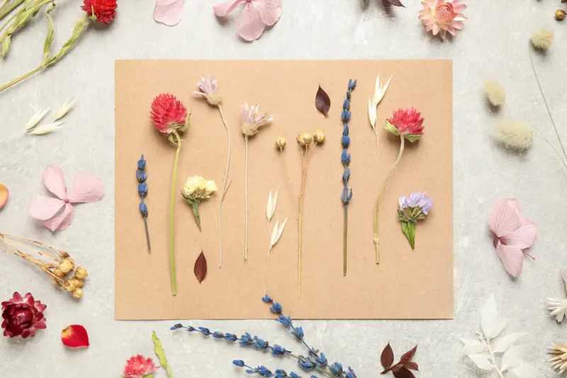Flat lay composition with beautiful fresh and dry flowers