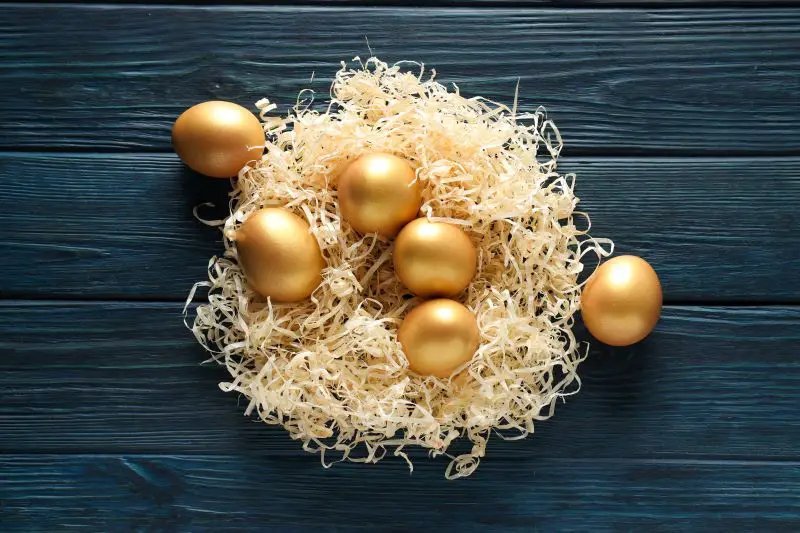 Golden eggs, pension savings, investments and retirement