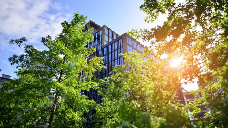 New Remove BG Save Share Sample New Eco architecture. Green tree and glass office building.
