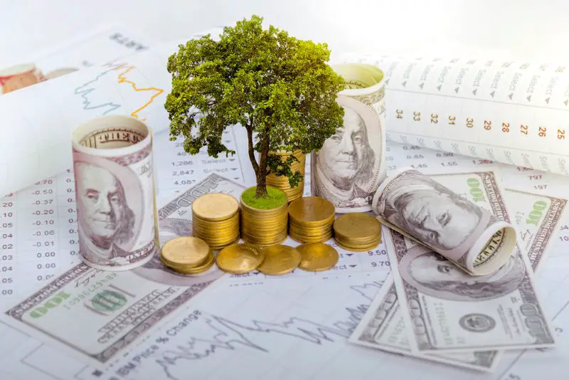 The tree is growing both on the progress of money and financial reports