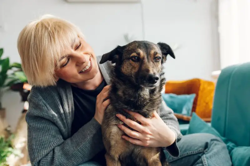 Woman cuddling and playing with her dog at home on the couch